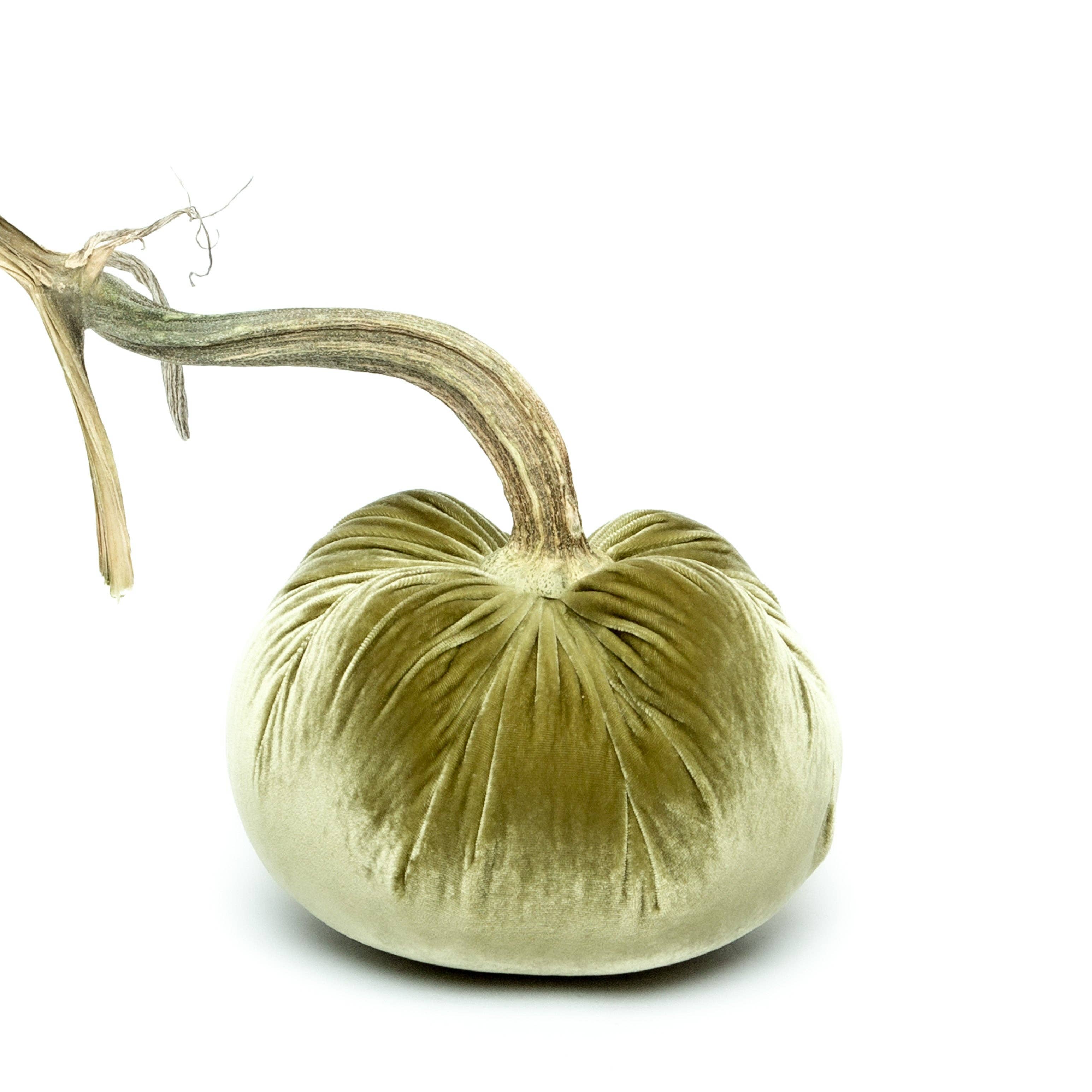 Hot Skwash - Wholesale Decorative Tabletop Object - Celery Silk Velvet Pumpkin2