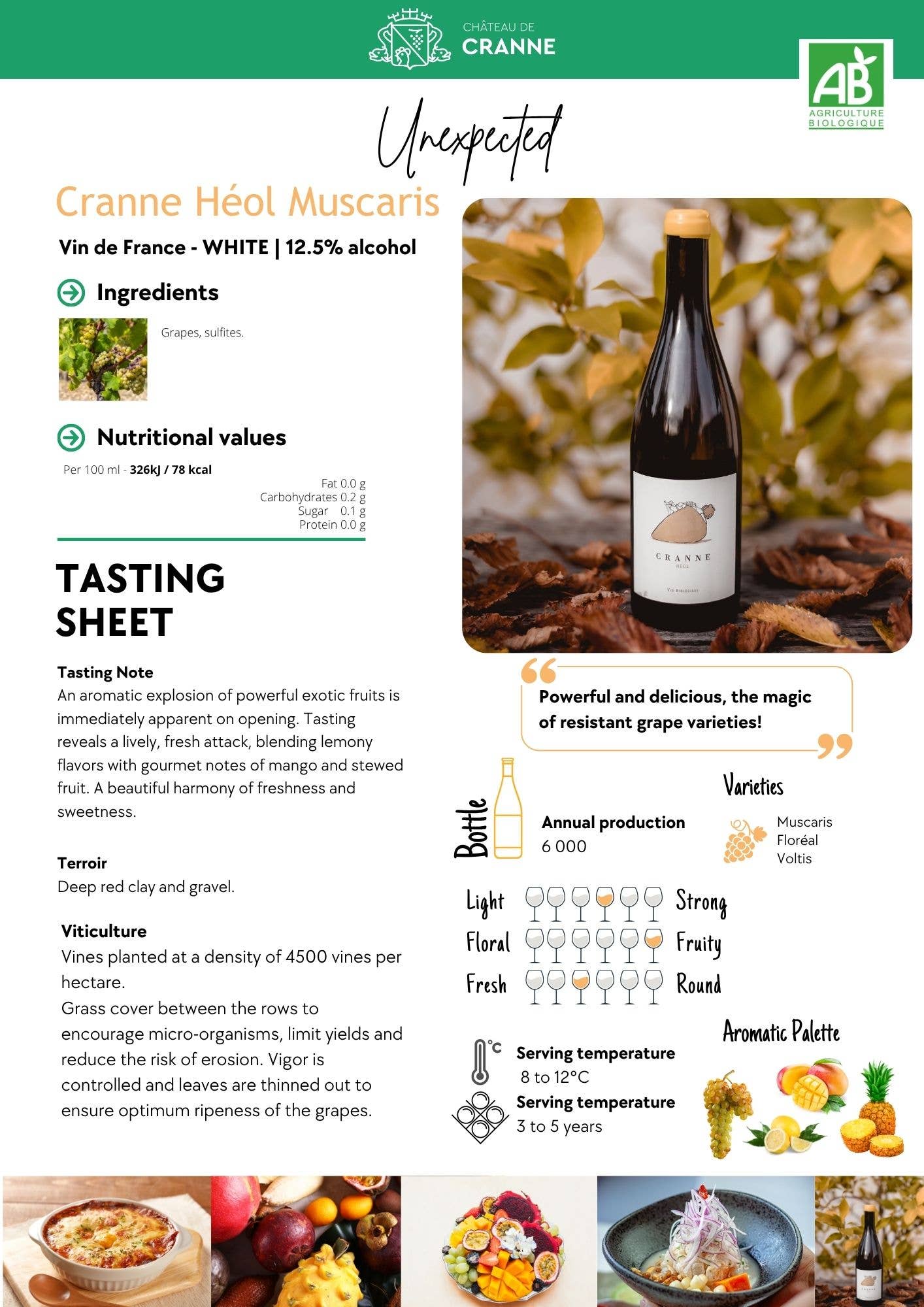 Château de Cranne – wholesale White wine – Grand Dry White Wine Muscaris Organic Amphora "CRANNE Héol" 241