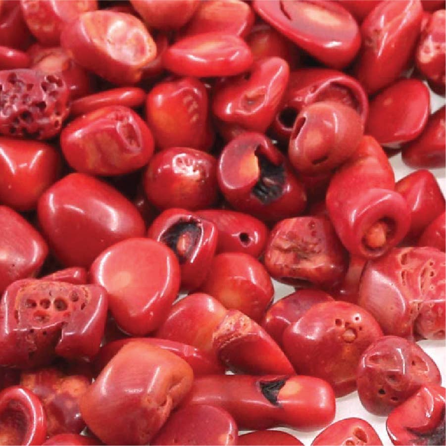 The Simply Crafty Shop - Wholesale Terrarium - Mini Bubble Terrarium Kit- Semi-Precious Stone7