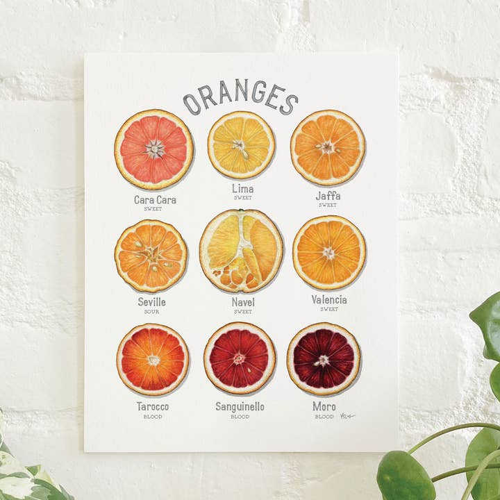 Prints / Fruit . Sinaasappels voor wholesale door Yeesan Loh