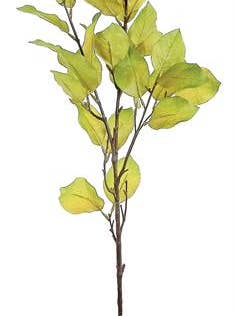 Branche de feuilles de hêtre d'automne, 104 cm, vert/or pour la vente par Select Artificials, Inc.