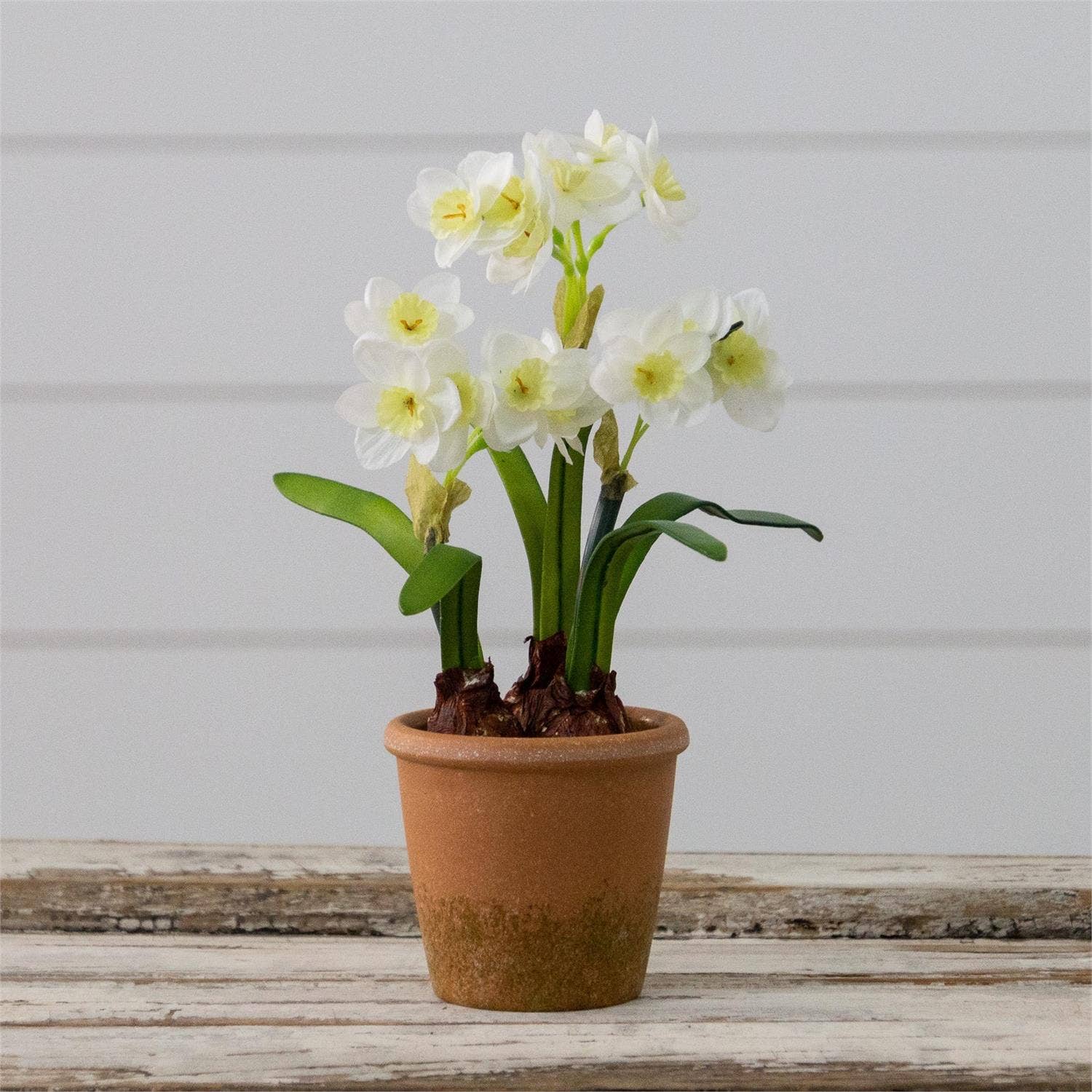 Audrey's Home & Gift - Wholesale Artificial Plant - Narcissus In Terracotta Pot (PC)1