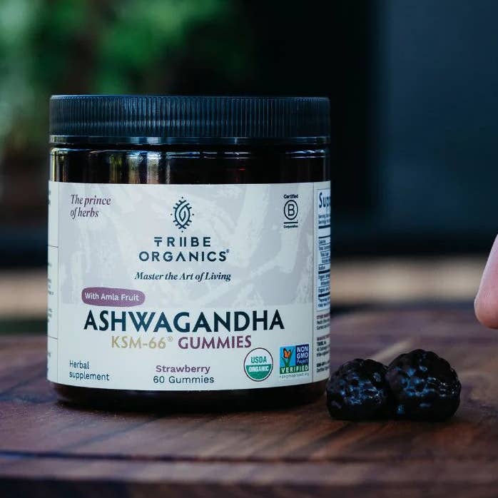 Ashwagandha KSM-66 Gummies for wholesale by Tribe Organics