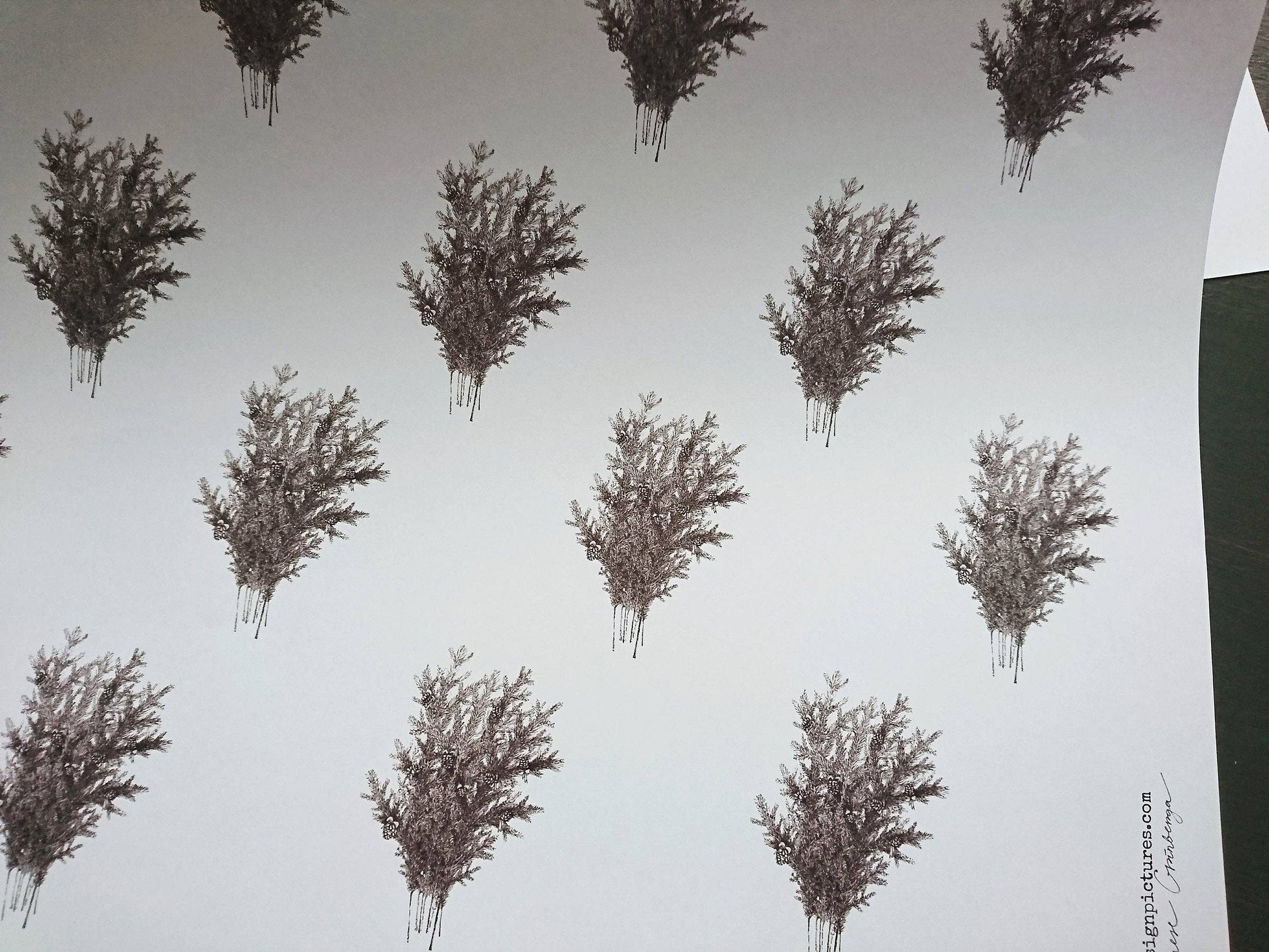 MyDesignPictures - Wholesale Flat Wrap - Set Of 3 Pieces Spruce Branches White Wrapping Paper3