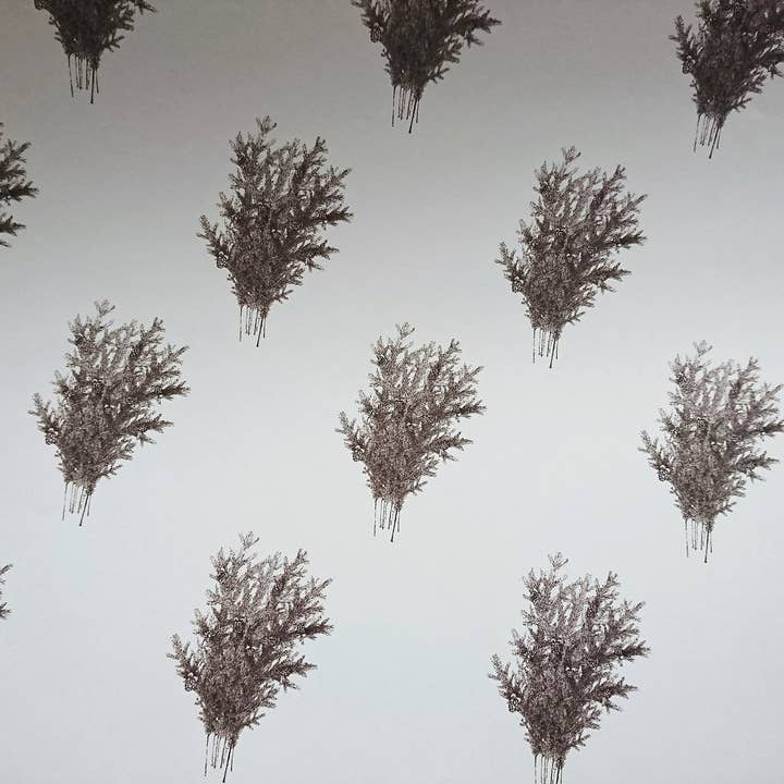 MyDesignPictures - Wholesale Flat Wrap - Set Of 3 Pieces Spruce Branches White Wrapping Paper3