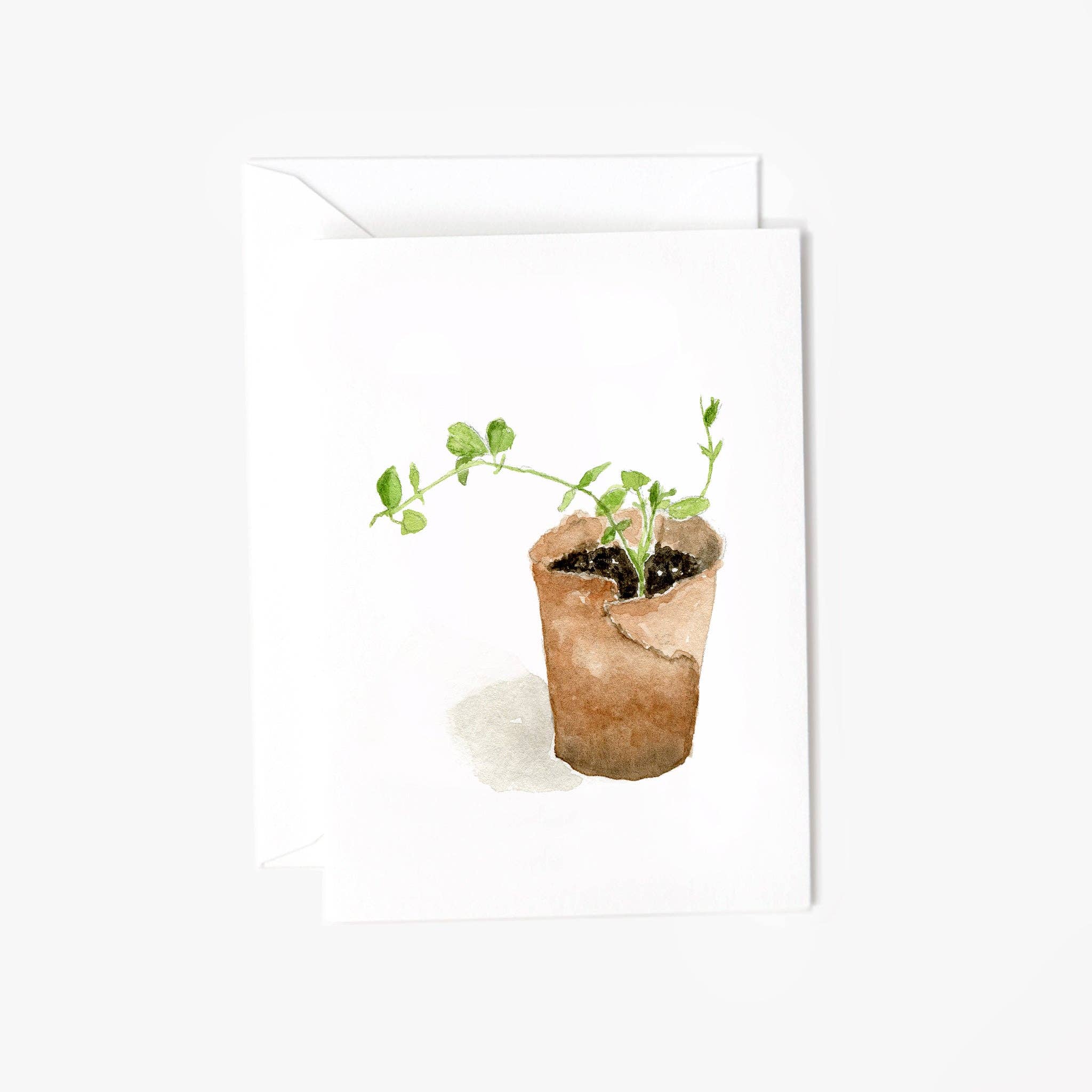 emily lex studio - Wholesale Stationery/Notecard Set - sweet pea mini notecards1