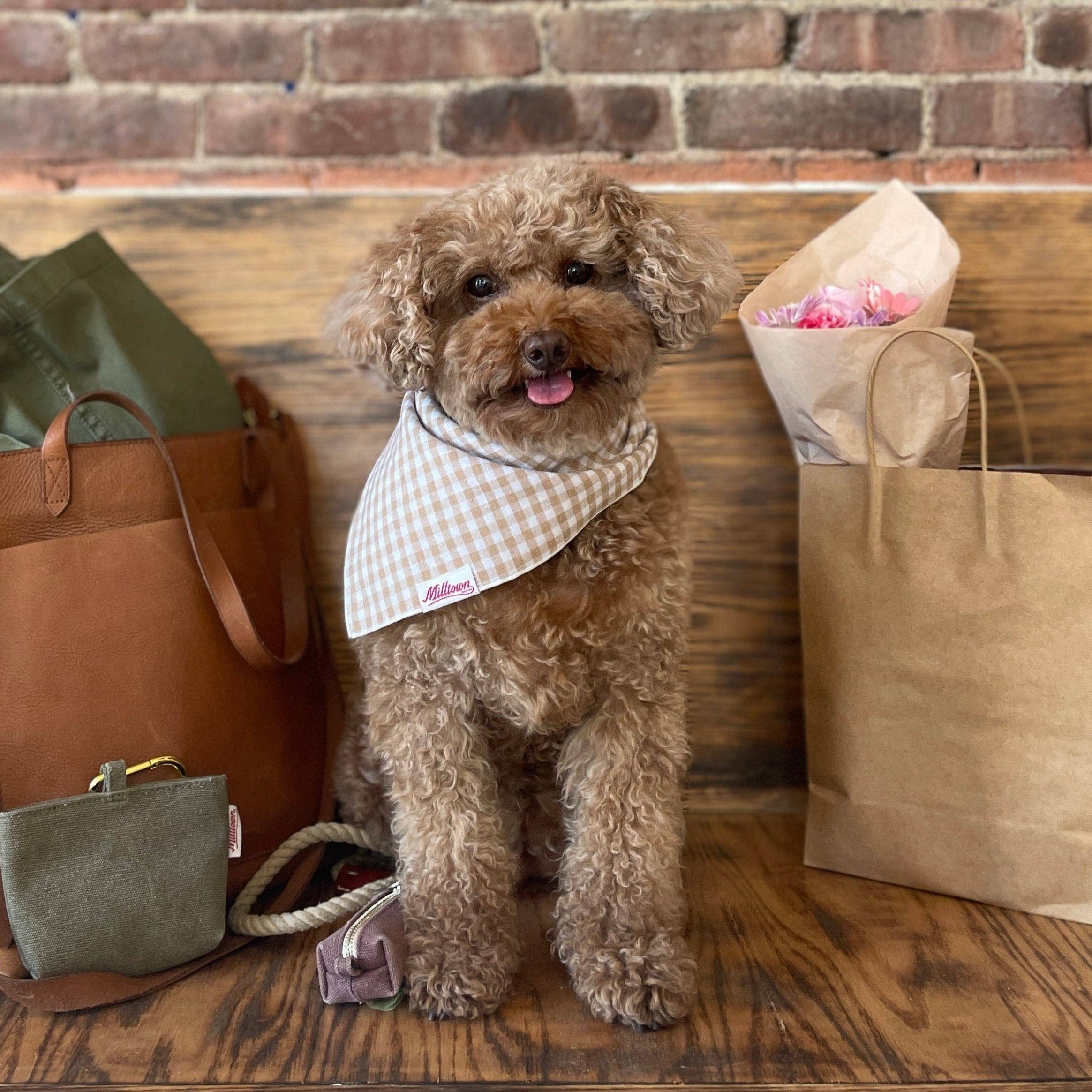 Milltown Brand - Vente Bandana – chien - Bandana carré pour chien - Beach Sand Vichy1