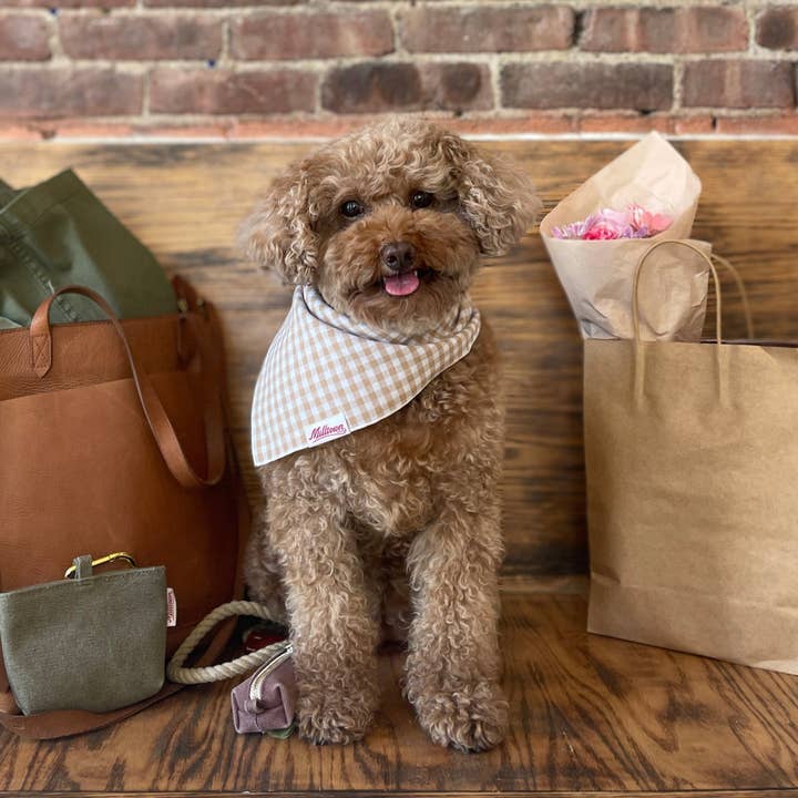 Milltown Brand - Vente Bandana – chien - Bandana carré pour chien - Beach Sand Vichy1