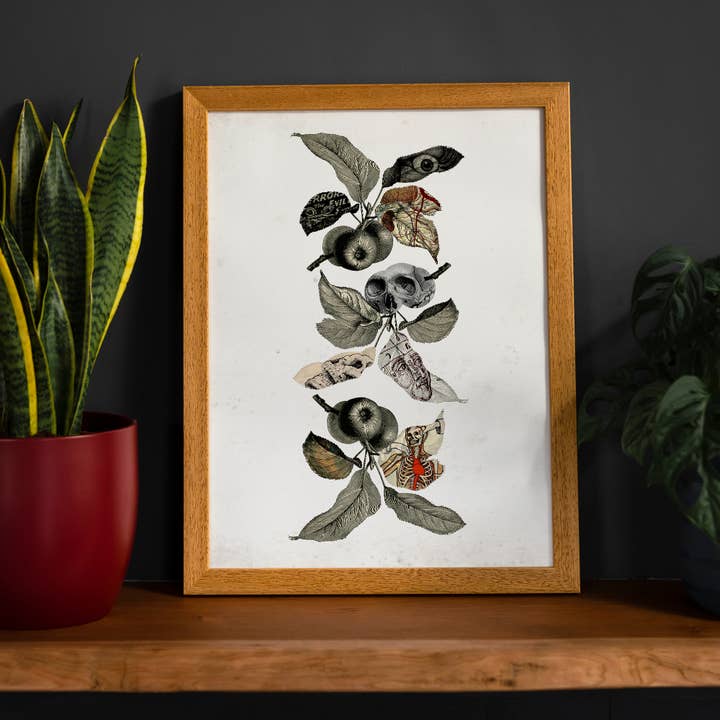 Estampado de calaveras botánicas para venta al por mayor de Ink & Drop