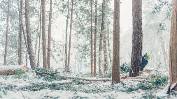 House of Shokunin - Wholesale Journal/Diary - Handcrafted Wood leaf journal, Birthday Gift, Gift for Dad, Gift for Grandpa, Handcrafted Handy Journal, Handmade Journal Hand shaved Journal10