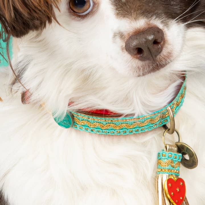 Coco Noël 2 cm Halsband S (Halsomkrets 27-33 cm / 2 cm) för wholesale av Dog with a Mission