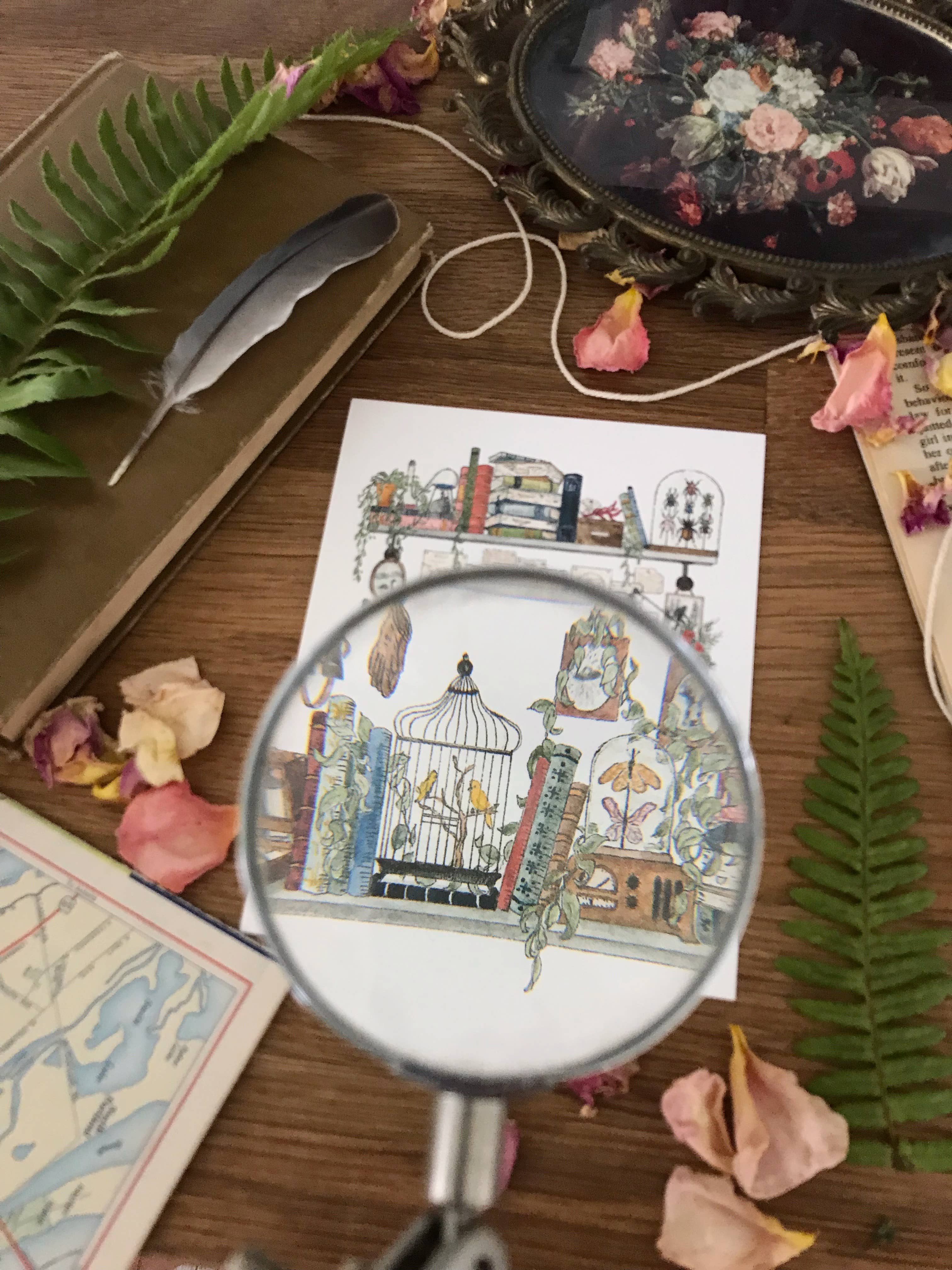 Lizzy Gass - Wholesale Postcard - The Biologist's Shelves Postcard8