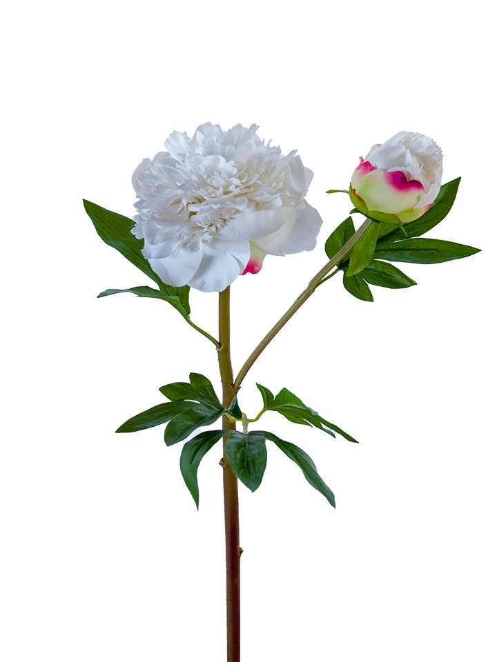 American Best - Vente Fleurs artificielles - PIVOINE À VOLANTS FRESH TOUCH 26"4