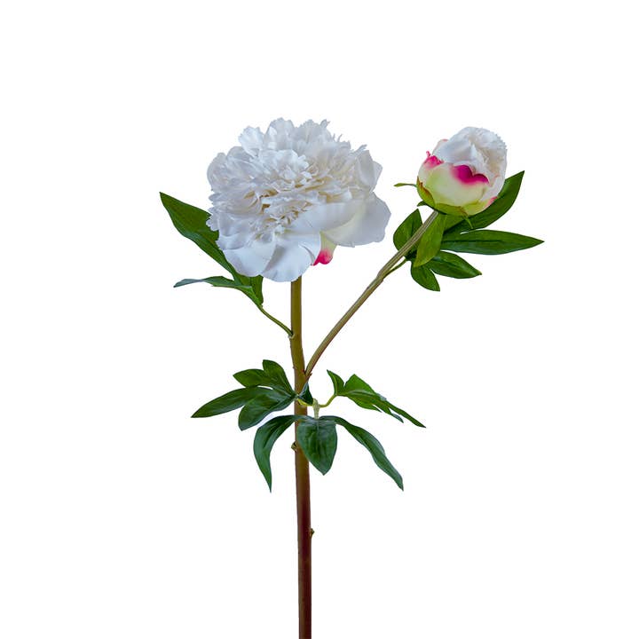 American Best - Vente Fleurs artificielles - PIVOINE À VOLANTS FRESH TOUCH 26"4