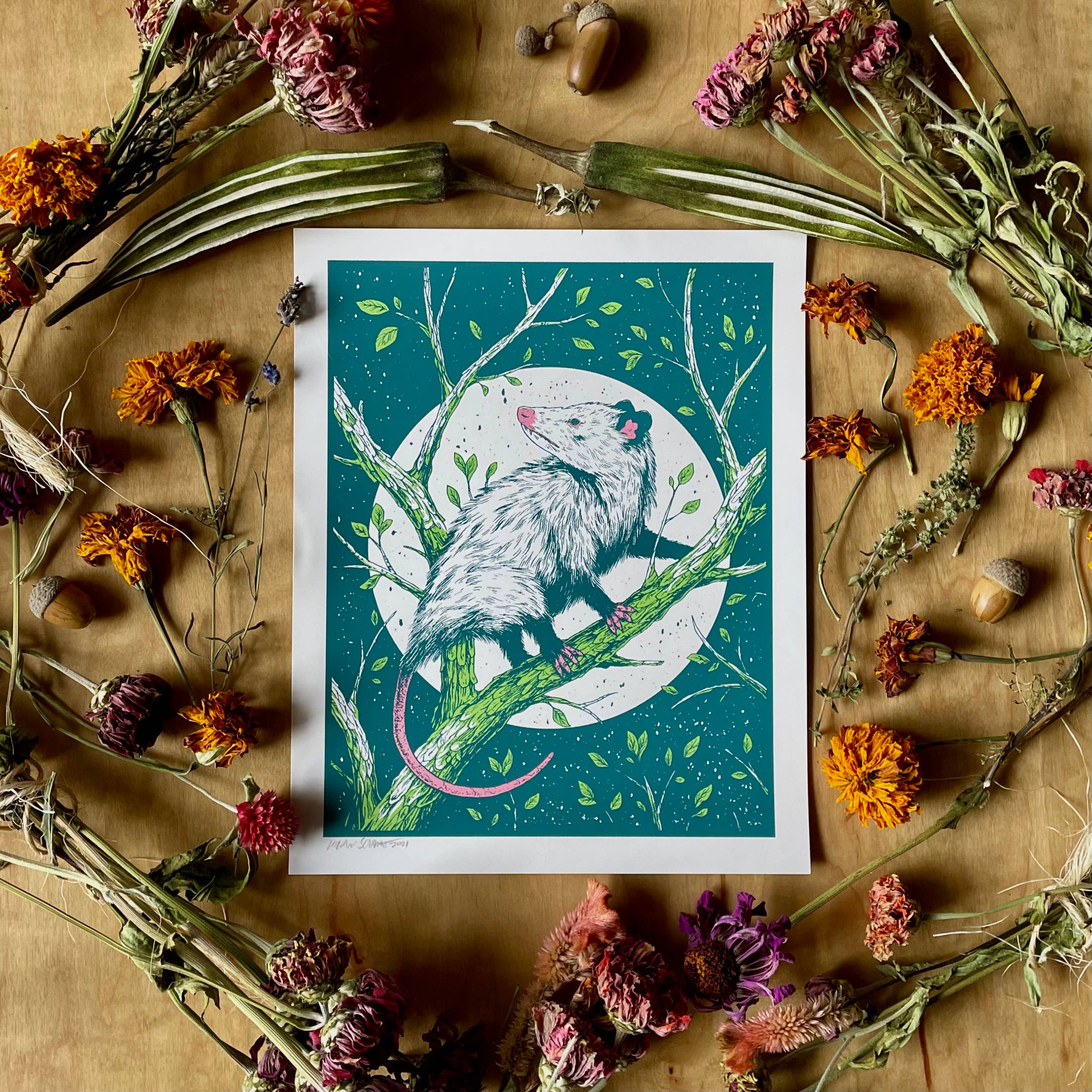 Logan Schmitt Illustration - Wholesale Art Print - Opossum1