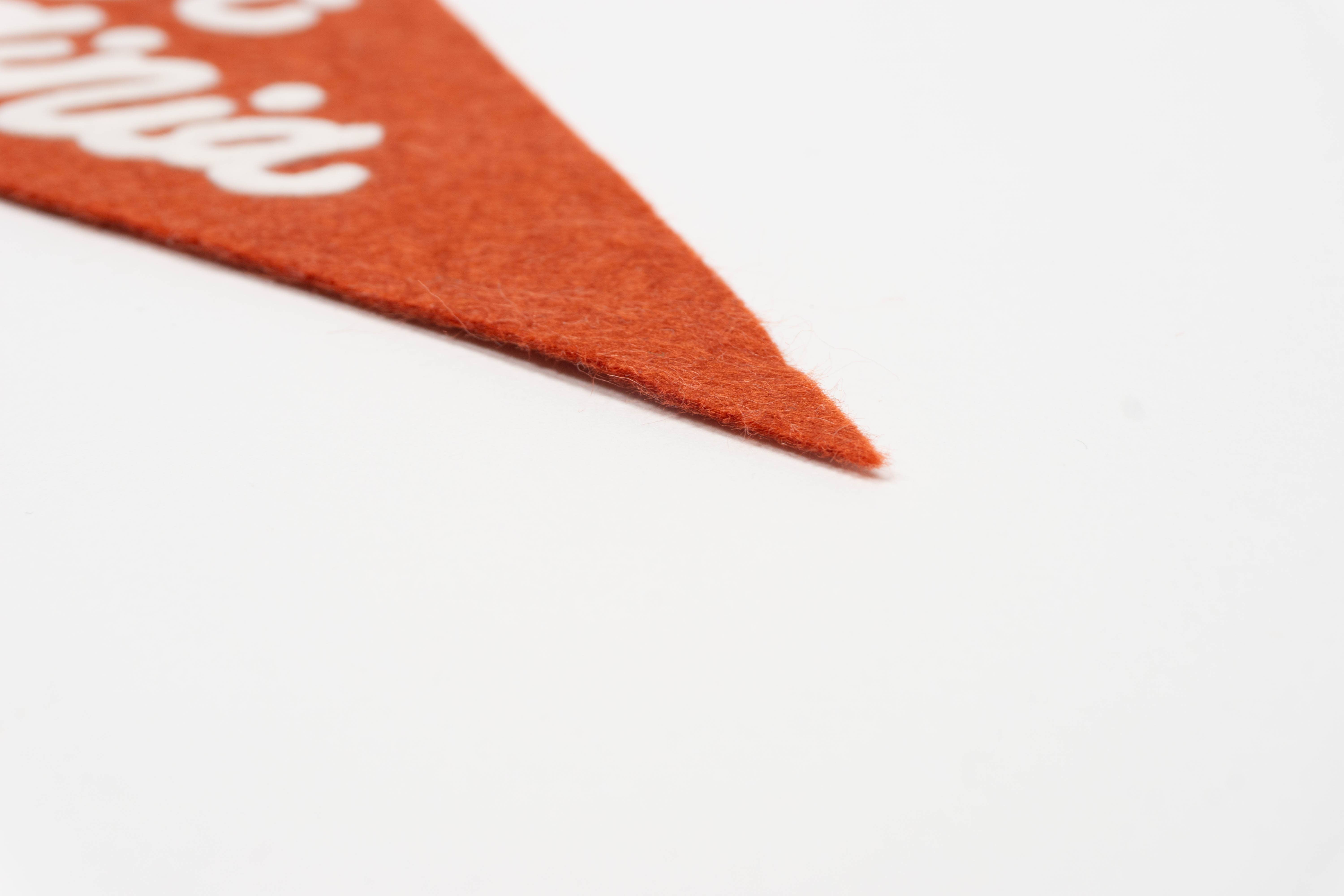 traveldashery - Wholesale Banner - west virginia pennant29