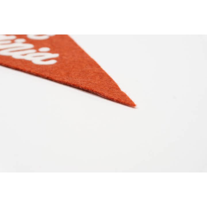 traveldashery - Wholesale Banner - west virginia pennant29