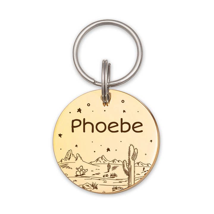 Medaglietta per cani personalizzata a forma di stella del deserto con cielo stellato per la vendita all'ingrosso da parte di Anavia