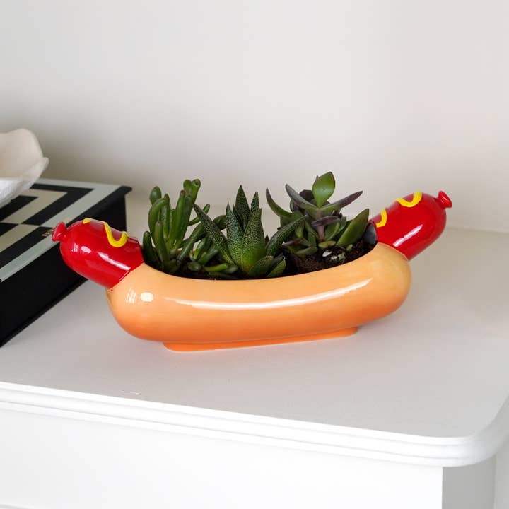 Bubblegum Stuff US - Wholesale Plant Pot - Hot Dog Planter2