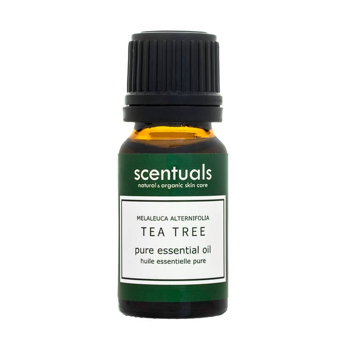 Olio essenziale puro dell'albero del tè per la vendita all'ingrosso da parte di Scentuals Natural & Organic Skin Care