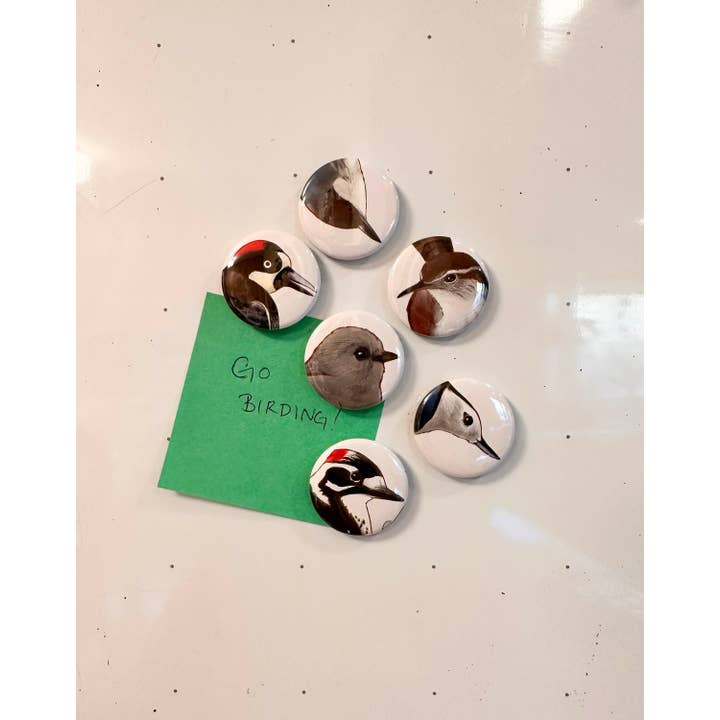 Western Backyard Birds 2 Magnet Sets of 6 for wholesale by River Thrush Studio