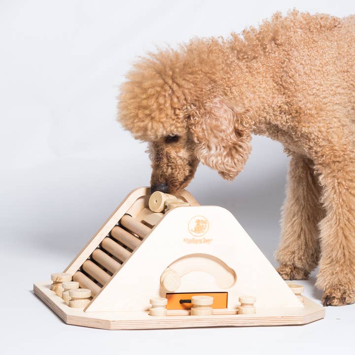 Pyramid - challenging and stimulating dog game for wholesale by My Intelligent Pets