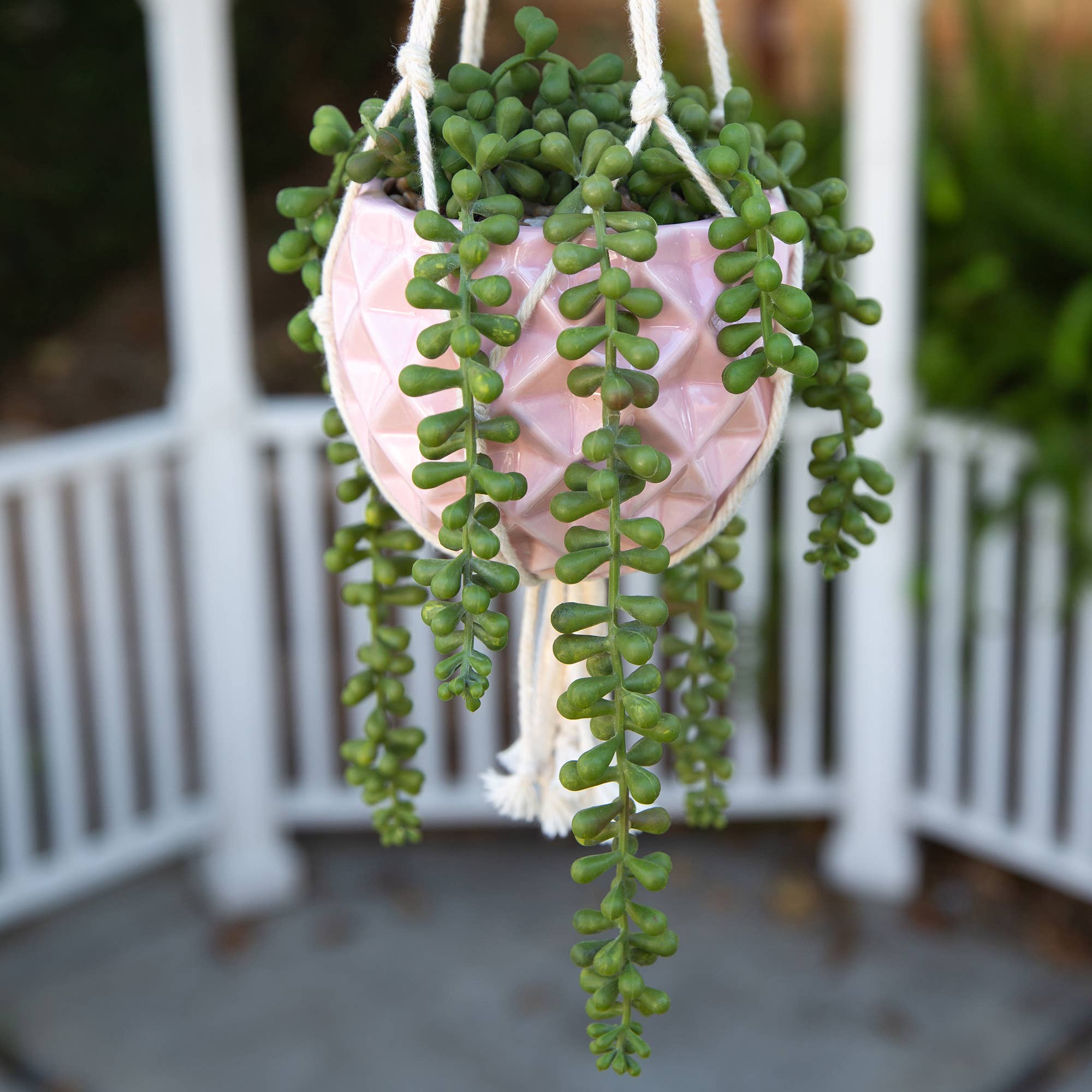 Flora Bunda Inc - Wholesale Hanging Planter - Hanging Ceramic Planter with Rope4