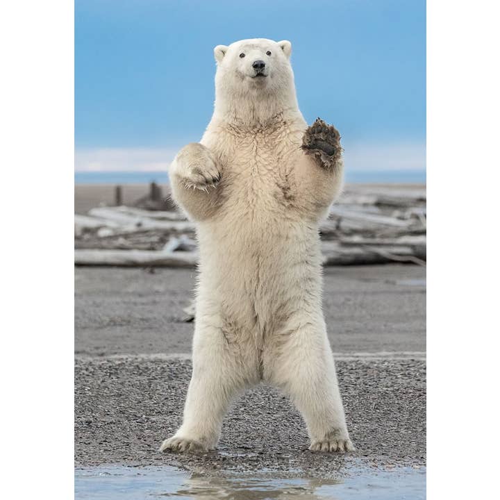 Polar Greetings for wholesale by Greatland Graphics