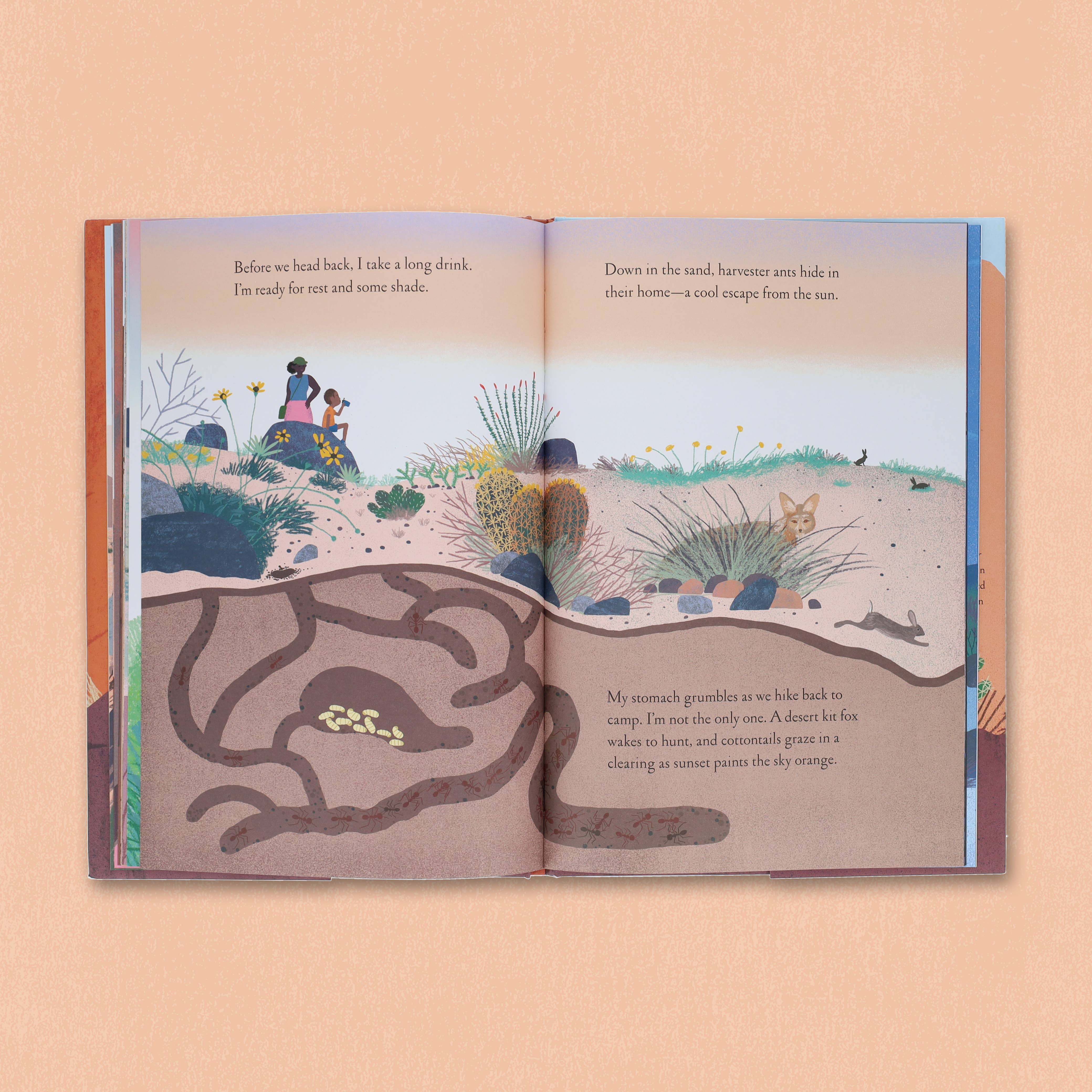 Chronicle Books - Wholesale Nature & Outdoors - Over and Under the Canyon13