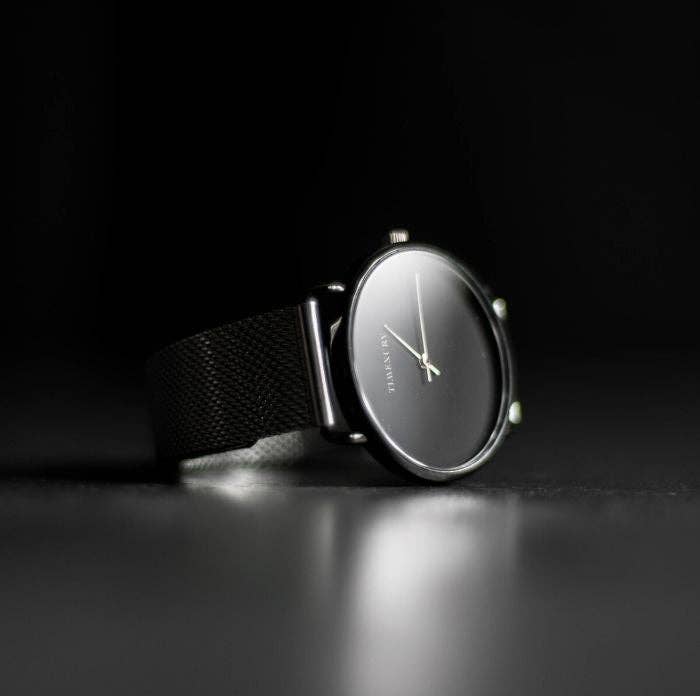 LES MONTRES TIMEXURY INC - Wholesale Polshorloge - Dames - Herfst zilver2