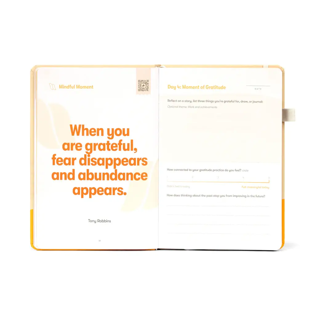 Habit Nest - Wholesale Journal/Diary - Gratitude Sidekick Journal11