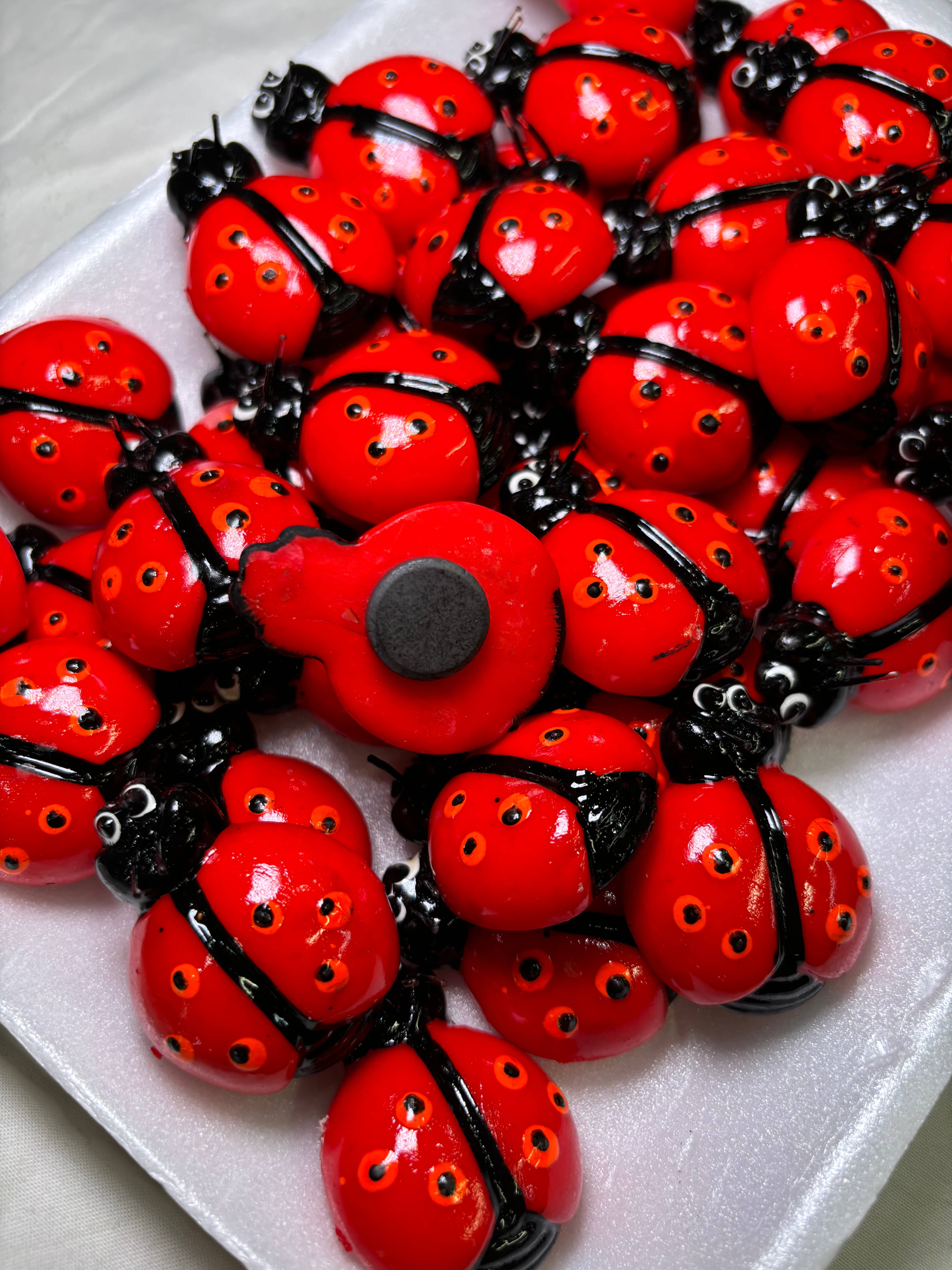Magnets Market - Wholesale Magnet - Ladybug Kitchen Magnet2