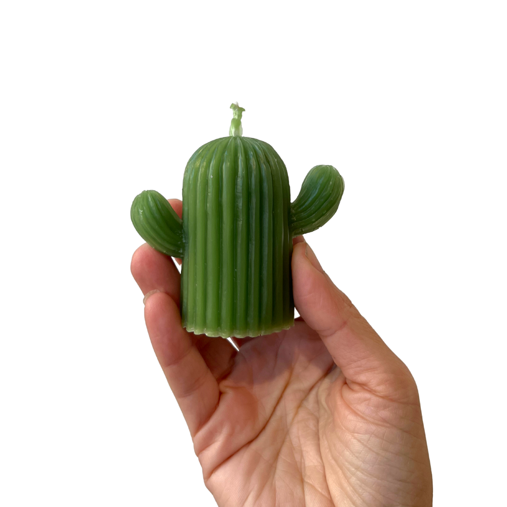 Freedom Rocks – wholesale Prydnadsljus – Cactus Naturligt bivax ljus3