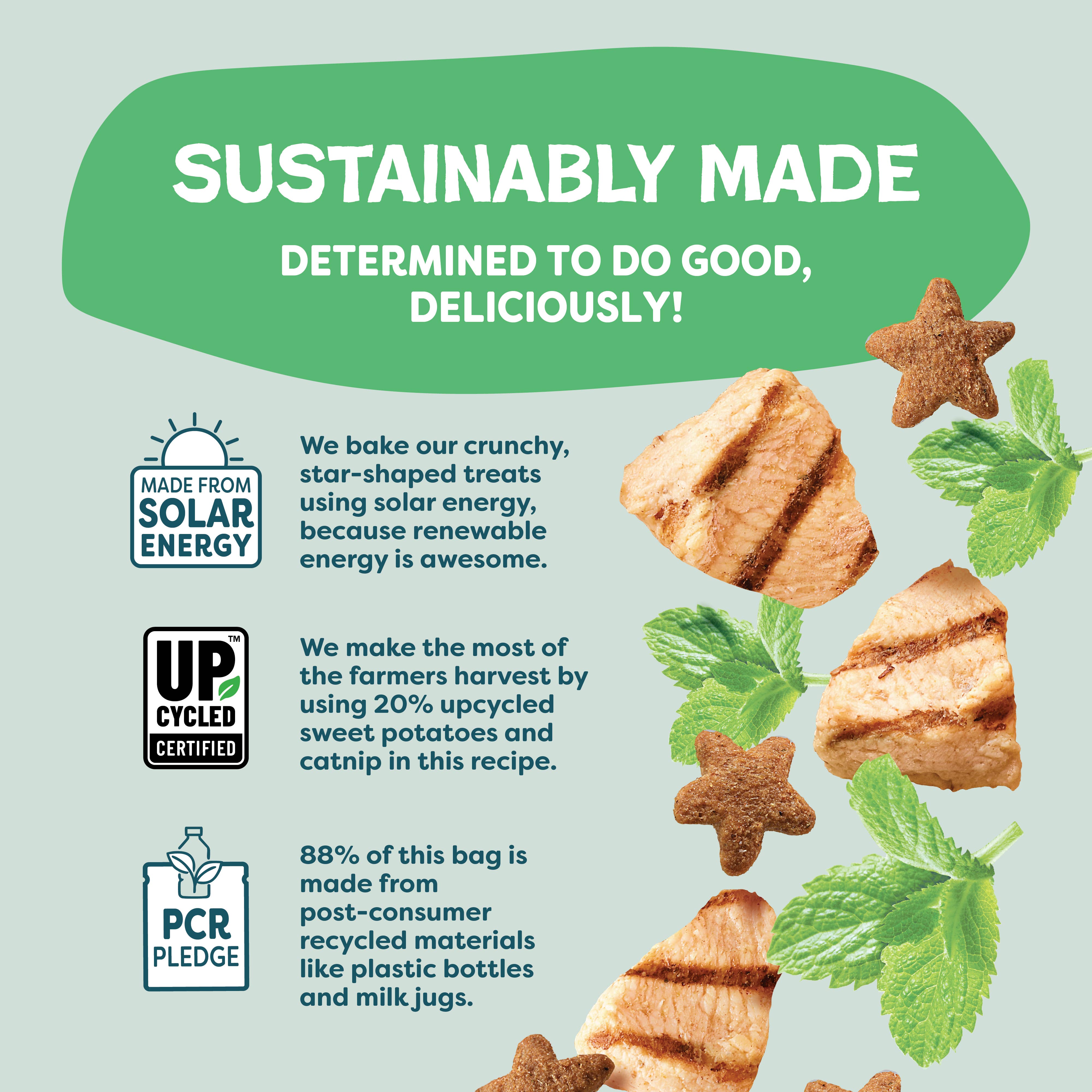 Shameless Pets - Vente Friandises – chat - Friandises Croquantes pour Chats Catnip N Chill - Poulet7