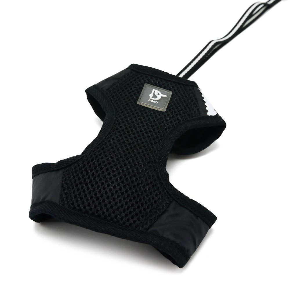 Dogo Pet - Vente Harnais – chien - Harnais EasyGo Basic12