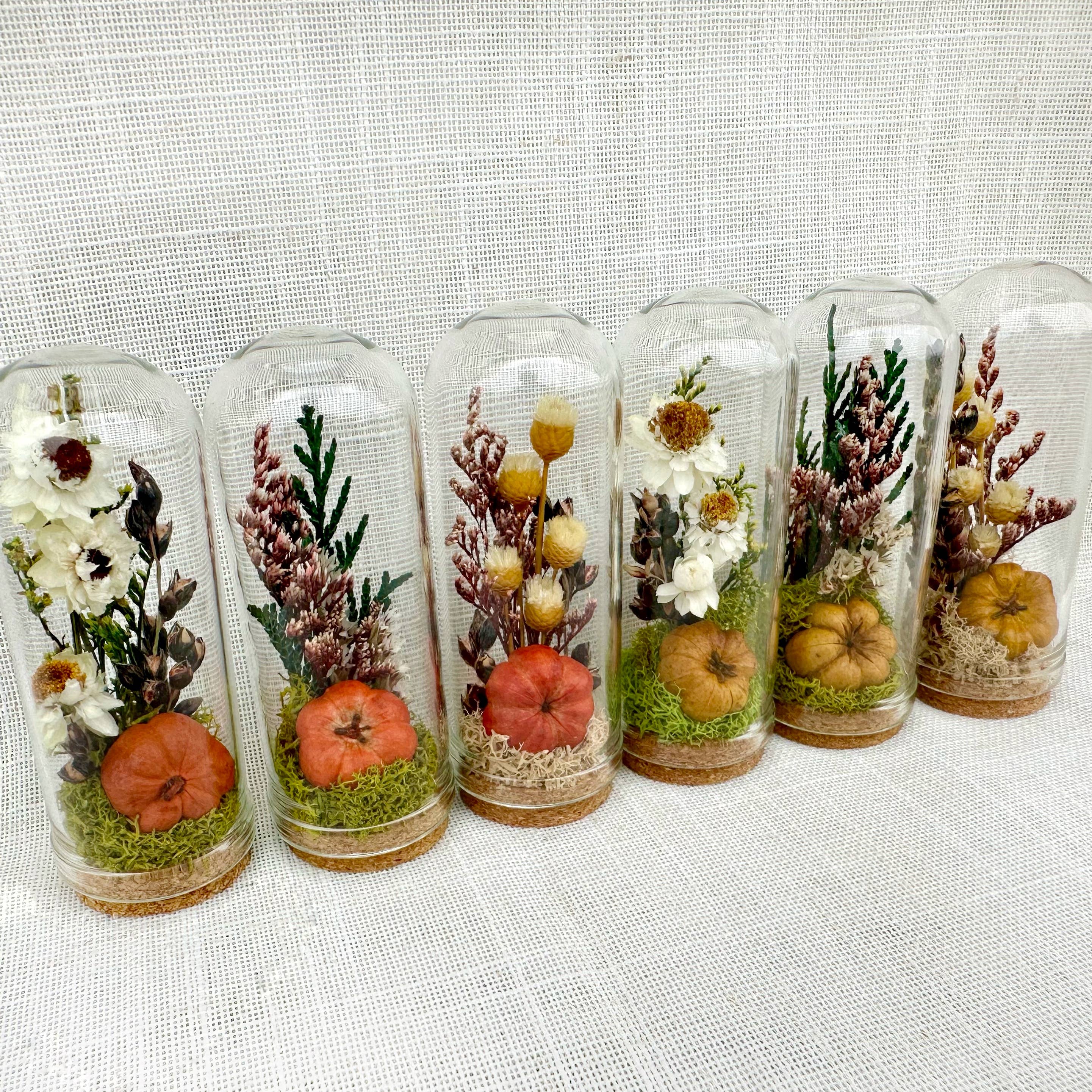 CA Studios - Wholesale Terrarium - Pumpkin Mix Mini Terrarium Potion Jar w Dried Florals8