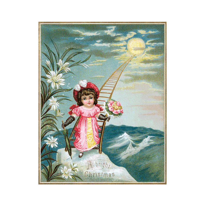 Laughing Elephant - Wholesale Postcard - We Wish You a Crazy Christmas Postcard Book -  Postcards22