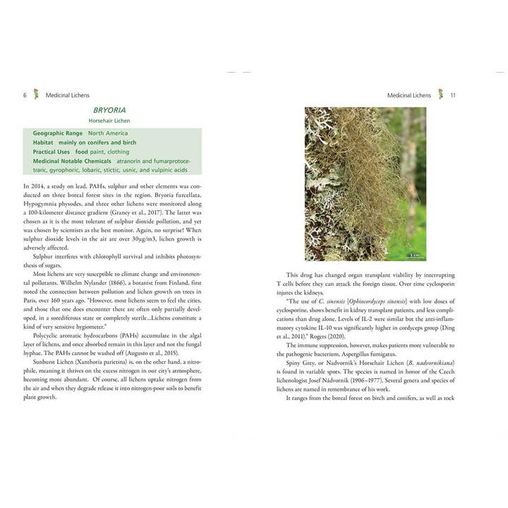 Simon & Schuster - Wholesale Medical Health - Medicinal Lichens by Robert Dale Rogers3