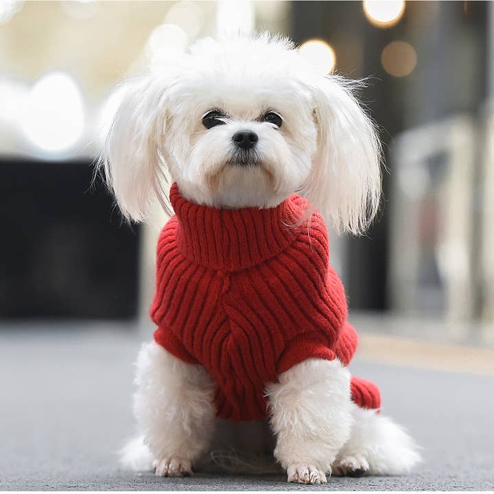 Amomi - Wholesale Pet Sweater - Dog - Knitted dog sweater