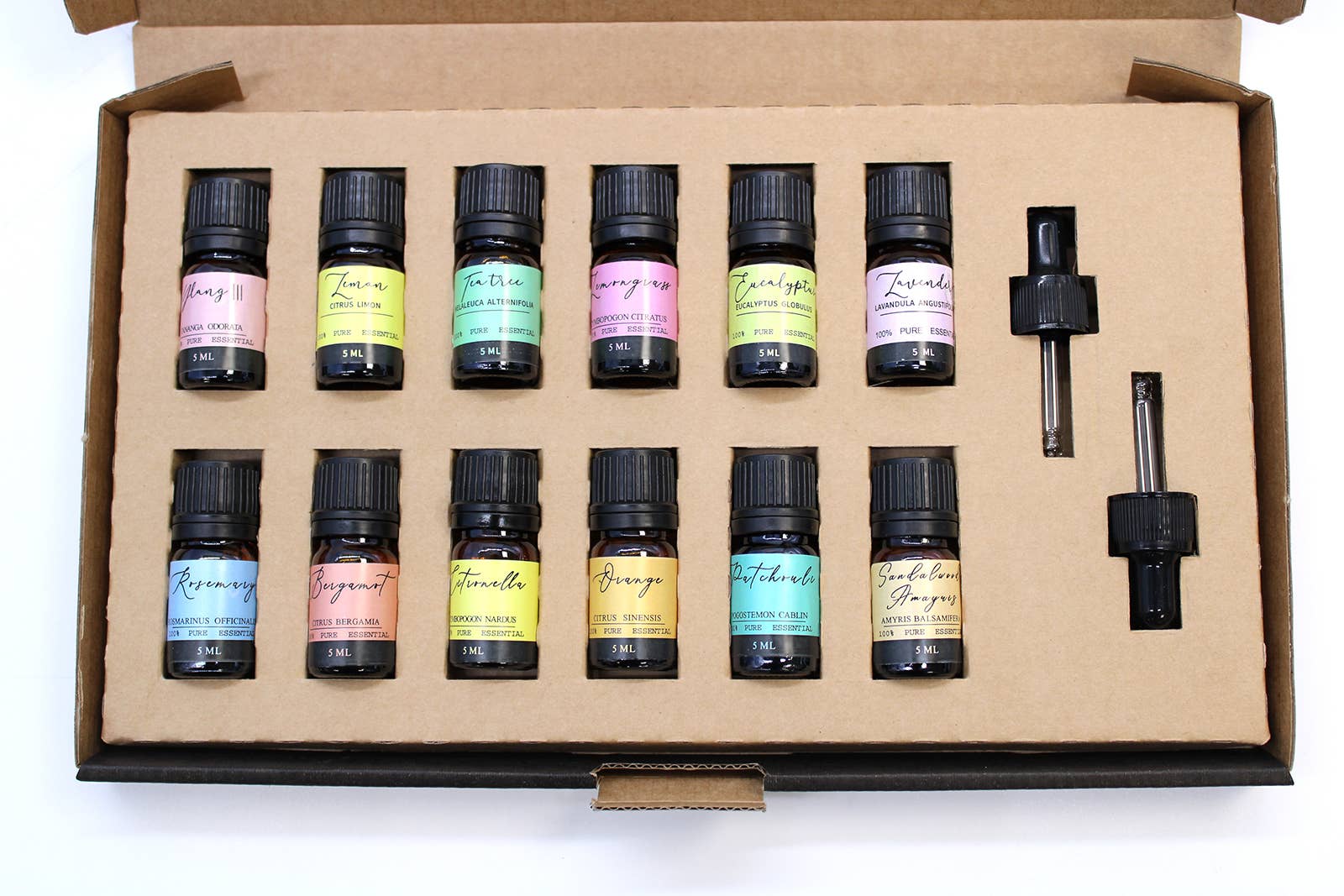 Ancient Wisdom - Wholesale Essential Oil - Aromatherapy Essential Oil Set - The Top 121