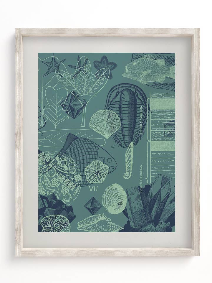 Stampa del Museo dei Fossili per la vendita all'ingrosso da parte di Cognitive Surplus