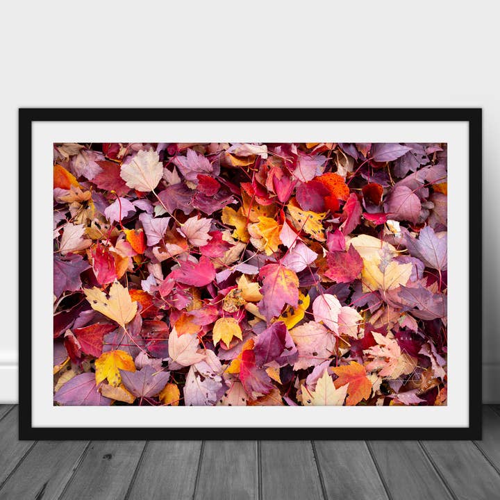 Colorful Autumn Leaves Photography Print Wall Art for wholesale by Angie Harris Photography
