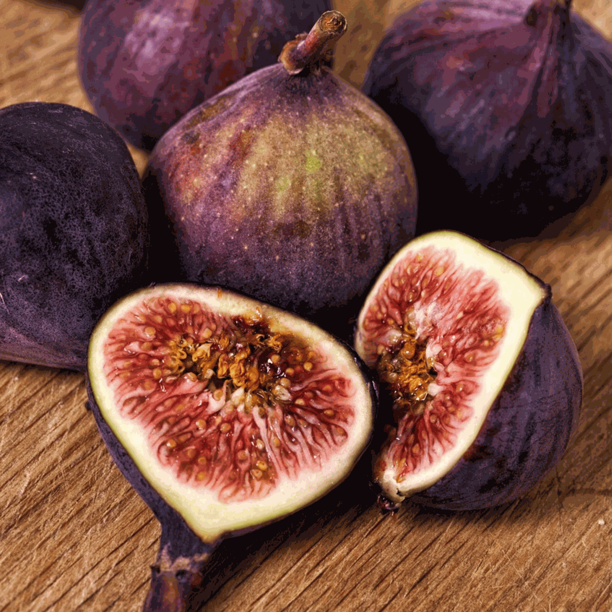 Oasis of Life - Wholesale Live Plant - Fig Tree – 2 Plants – Ficus carica – Real Fig Tree with Edible Fruits – Hardy Fruit Plant for Garden, Balcony & Terrace – Easy Care & Decorative – Height 70–90cm – Ø21cm5