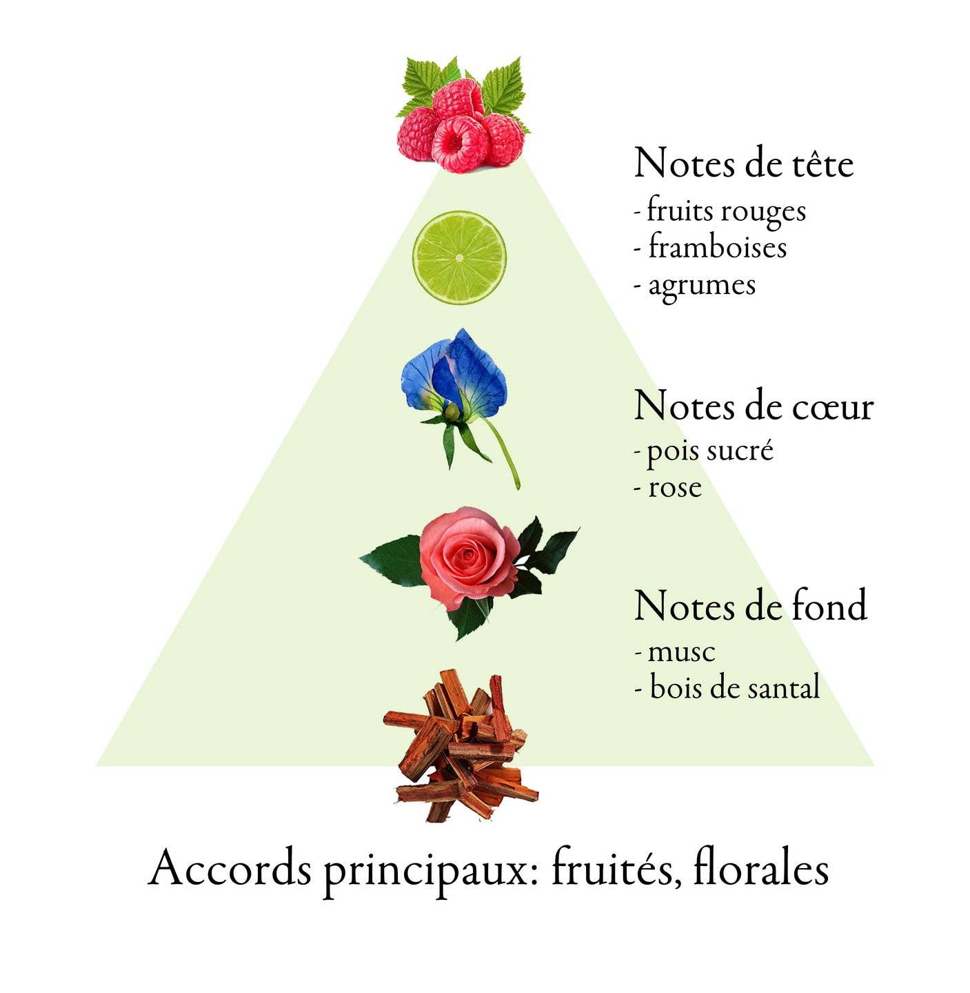 FAMILLE GRASSE PARFUMS - Wholesale Perfume/Eau de Toilette - SPRING TIME eau de parfum for women 60ml3