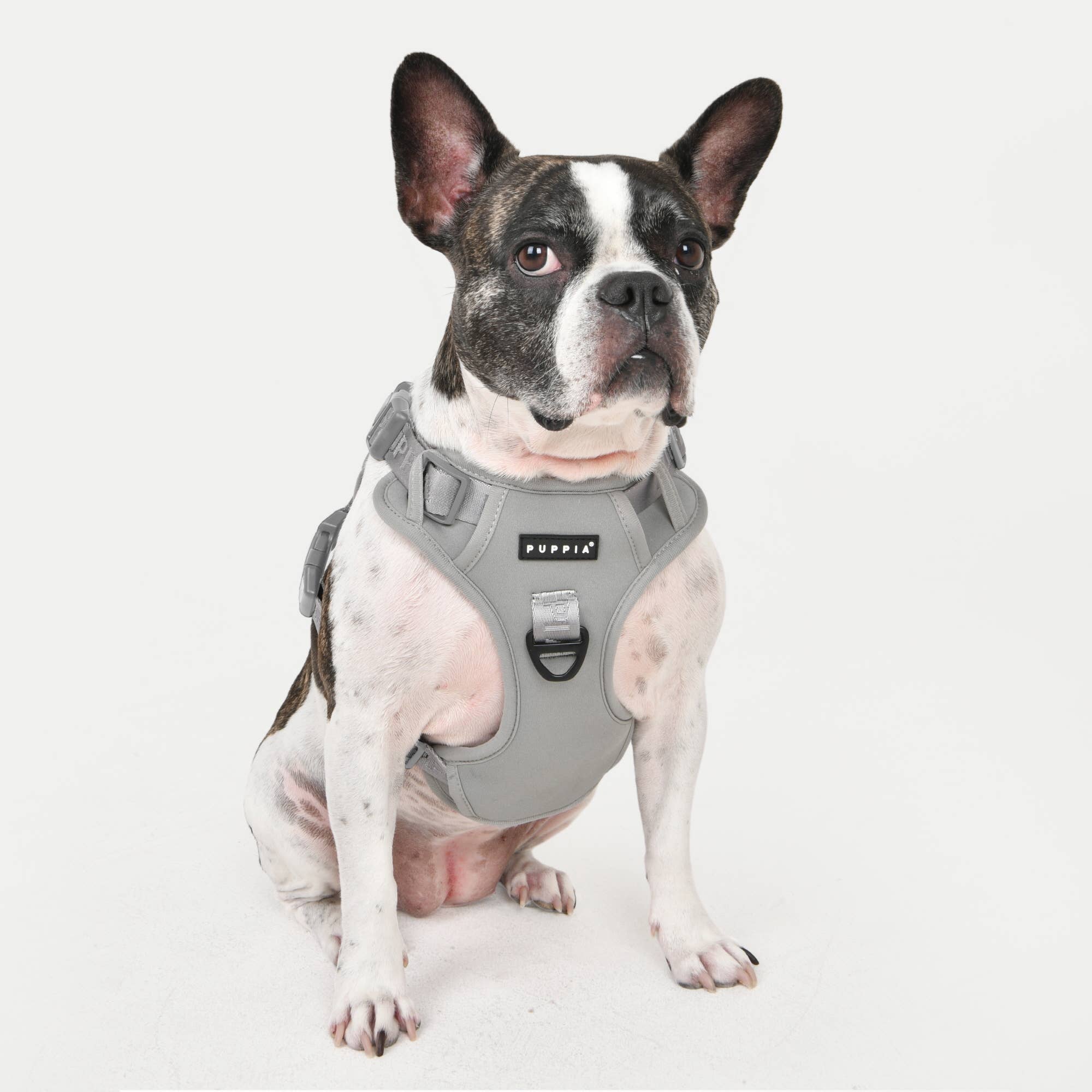 Puppia International Inc. - Wholesale Pet Harness - Dog - JAREK DOG HARNESS H ADJUSTABLE2