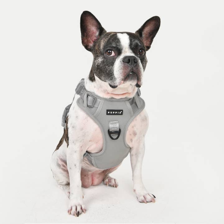 Puppia International Inc. - Wholesale Pet Harness - Dog - JAREK DOG HARNESS H ADJUSTABLE2