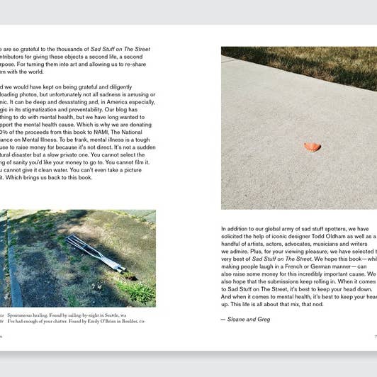 AMMO Books - Wholesale Book - Adult - Sad Stuff on the Street By Sloane Crosley and Greg Larson
