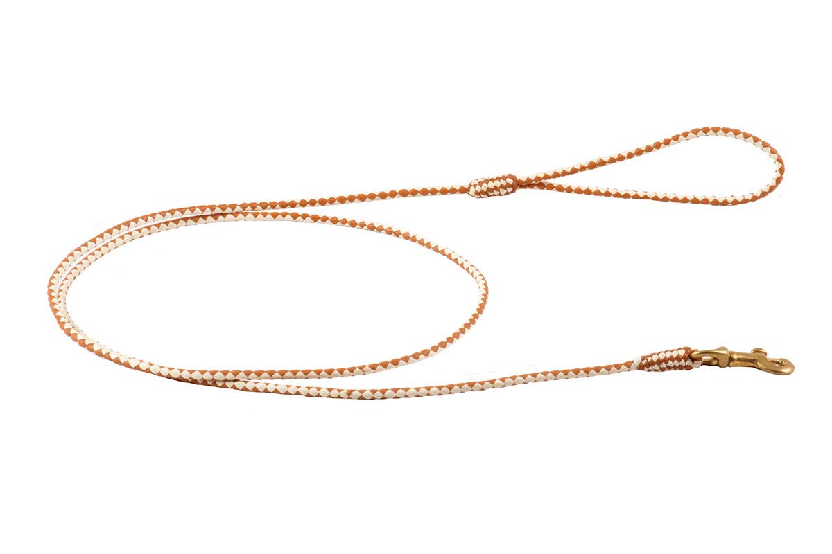 Alvalley - Wholesale Pet Leash - Dog - Braided Leather Snap Leads115