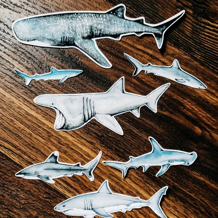 Stephanie Hathaway Designs - Wholesale Sticker - Sharks Sticker Pack, Set of 7 Matte Vinyl Stickers2
