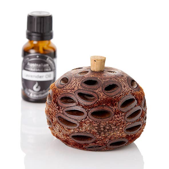 Australian Wholesale Oils - Wholesale Reed diffuser - Mini Banksia Pod Diffuser2